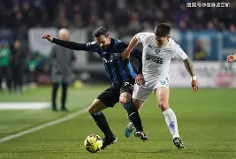 拜仁关键一役惨遭绝杀，球迷难掩失望，准备图片的话.的简单介绍